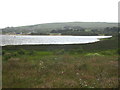 Stithians Reservoir at Tresevern