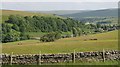 Hay meadows downstream of Cowshill