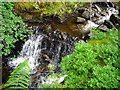 Waterfall in Strathyre Forest