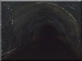 Inside Braunston Tunnel, Northamptonshire