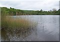 Loch of Clunie