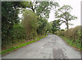 Disused loop of the old A59.