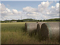 Farmland north of Church Lane