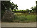 Entrance to West Jordanston Farm, featuring a cold horse