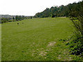 The Gallops, Findon Valley