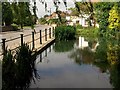 Sunningwell pond