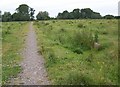 Avon Valley Path, Downton