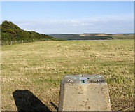 TQ5001 : Trig Point at High & Over, Seaford by Kevin Gordon