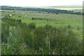 Grazing land west of Garrett Lee