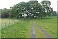 Footpath to the cemetery