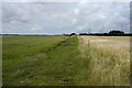 Farm track the River Wyre and Arm Hill