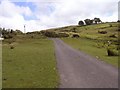 Country road south of the Amman Valley