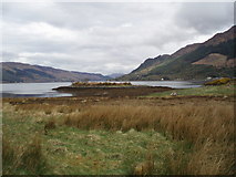 NG9420 : Loch Duich by Gregoire
