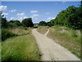 Downs Link bridleway