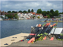 SU7682 : The River Thames, Henley by Andrew Smith