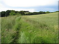 North Wingfield - View from Footpath off the Incline