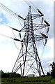 Monster Pylon