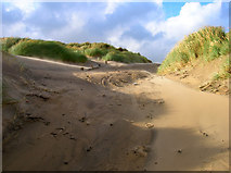 TQ9618 : Footpath Through the Dunes by Simon Carey