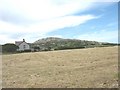 View westwards across a harvested meadow with Holyhead Mountain in the background