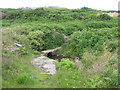 Footbridge and stile on the Porth y Felin path