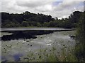 Auchencrieff  Loch