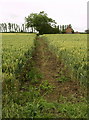 Farmland Public Footpath