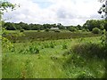 Killycowan Townland