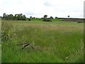 Killycowan Townland