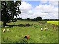 Ballyreagh Townland