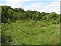 Springmount Townland