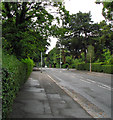 North Road, Belfast