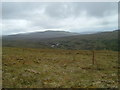 NH6623 : Fence Posts Descending to Allt na Beinne by Sarah McGuire