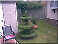 Fountain-shaped hedge in Court Manor Park Home Site