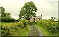 Disused house near Banbridge