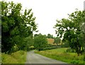 The Black Bog Road near Kinallen