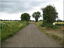 TL5161 : Quy: Former Cambridge and Mildenhall railway line by Nigel Cox