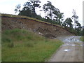 Quarry near Allargue Arms