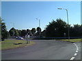 Traffic Island on the B5000, Next to Briar and Abelia  (1)