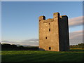 N9992 : Roodstown Castle, Co. Louth by Kieran Campbell