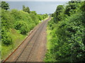 Newmarket: Railway line at the Woodditton Road bridge (1)