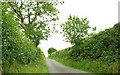 The Coniamstown Road near Killough