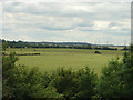 Farmland near Stallingborough