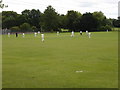 Sunday Afternoon Cricket Match