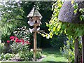 Doves at Summerhaugh Cottage