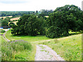 Footpath near Newnham on Severn