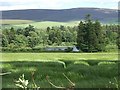 A lake on Clova Estate.