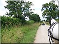 Bridleway near Chilbridge Farm