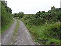 G9661 : Road at Derrykillew by Kenneth  Allen
