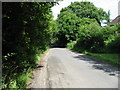 View along Water Lane near Merry Mead Farm