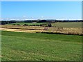 Gallops by the Wessex Ridgeway